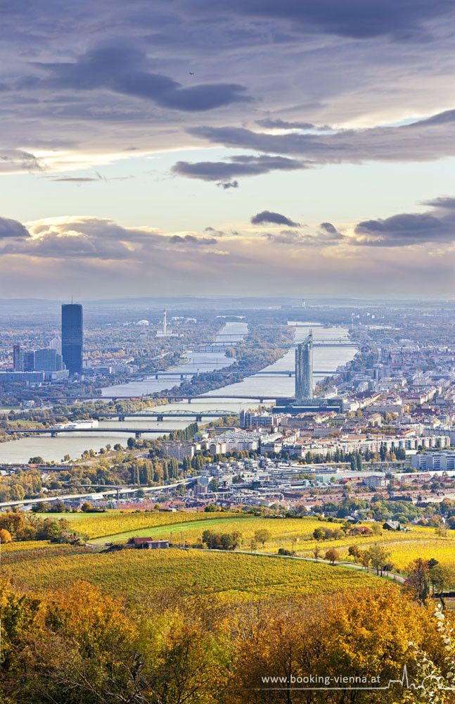 Blaue Donau, Nußberg Blick, booking Vienna, günstige Hotels in Wien