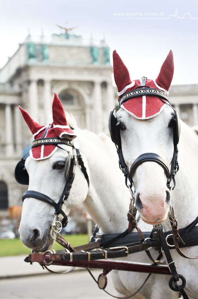 Tradition in Wien, booking Vienna, günstige Hotels Wien, Hotel Wien im Zentrum buchen