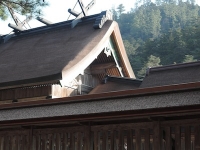 2014/01