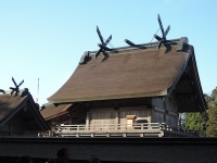 2014/01 PHOTO