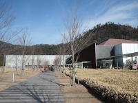2014/01 PHOTO