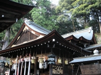 2009/10