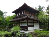2015/08