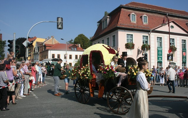 Den Höhepunkt des Stadtfestes bildete am Sonntag der Festumzug anlässlich der 650-Jahrfeier von Bad Köstritz. Unsere Gärtnerei gestaltete eine umgebaute Cinderellakutsche, die komplett mit Dahlienblüten besteckt wurde. 