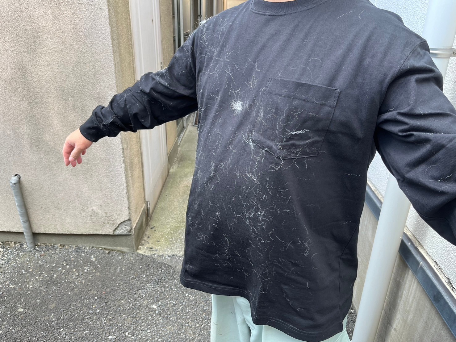 服が毛だらけになります…