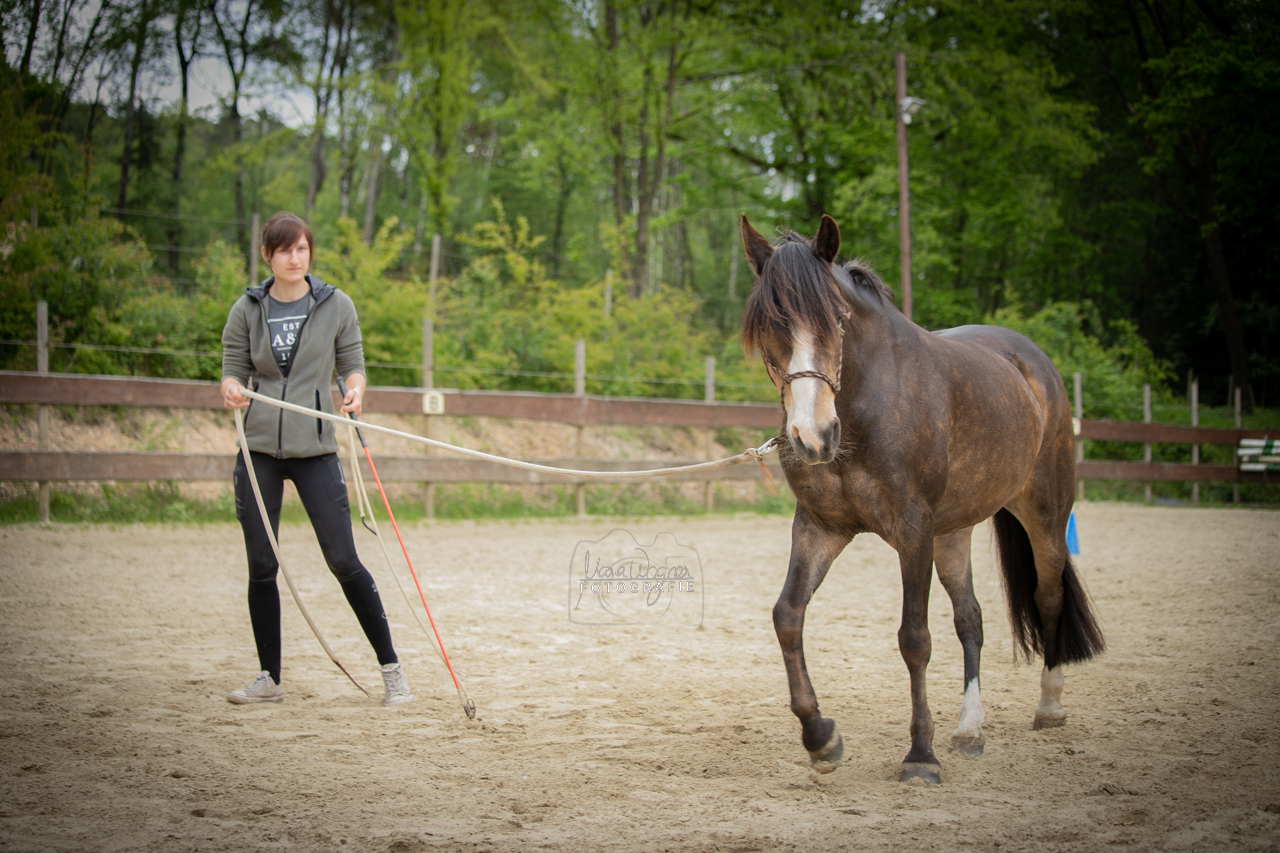 Horsemanship - Handarbeit