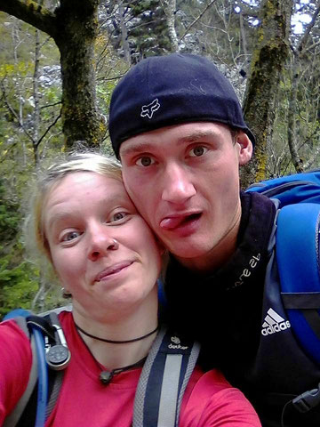 dogtrekking