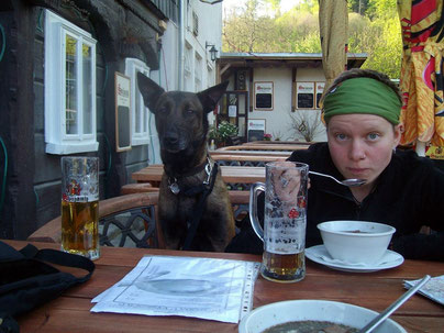 Dogtrekking Dogtrekking Dogtrekking Dogtrekking Elbsandstein-Dogtrekking ESDT Harz-Dogtrekking