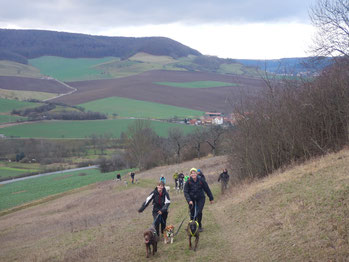 Dogtrekking Dogtrekking Dogtrekking