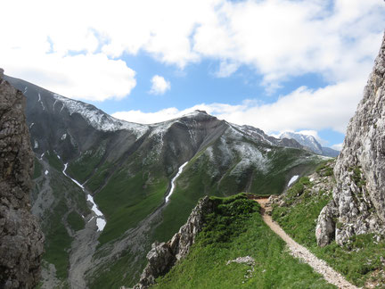 dogtrekking esdt harz-dogtrekking zugspitz-dogtrekking