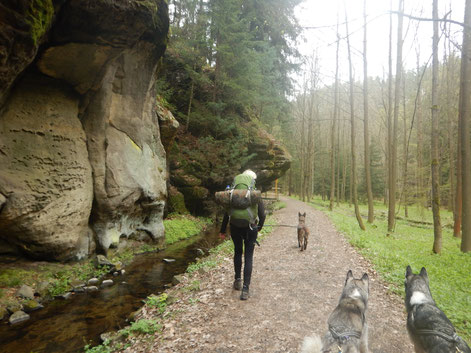 Dogtrekking Dogtrekking Dogtrekking Dogtrekking Elbsandstein-Dogtrekking ESDT Harz-Dogtrekking