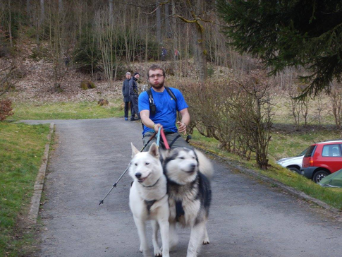 Dogtrekking Dogtrekking Dogtrekking Dogtrekking Elbsandstein-Dogtrekking ESDT Harz-Dogtrekking