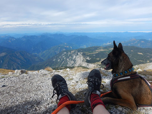 Schneeberg Dogtrekking Dogtrekking Dogtrekking Dogtrekking Elbsandstein-Dogtrekking ESDT Harz-Dogtrekking