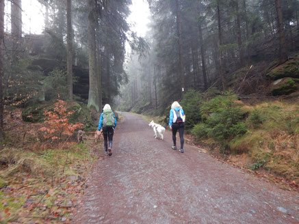 Dogtrekking Dogtrekking Dogtrekking Elbsandstein-Dogtrekking ESDT Harz-Dogtrekking