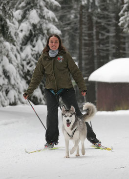 Dogtrekking Dogtrekking Dogtrekking Elbsandstein-Dogtrekking ESDT Harz-Dogtrekking