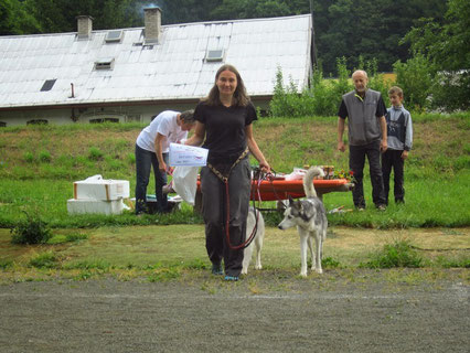 Dogtrekking Dogtrekking Dogtrekking Dogtrekking Elbsandstein-Dogtrekking ESDT Harz-Dogtrekking