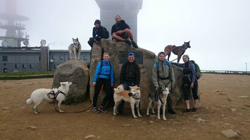 Dogtrekking Dogtrekking Dogtrekking