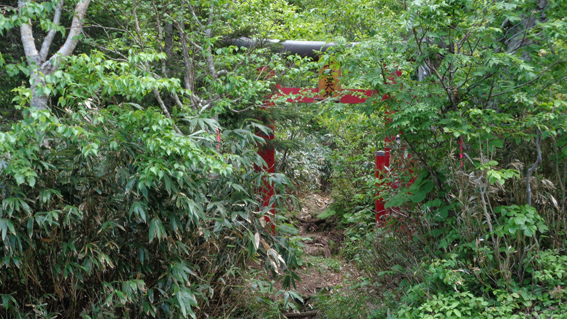 「石倉岳登山口」は参拝者多く登山道くっきり