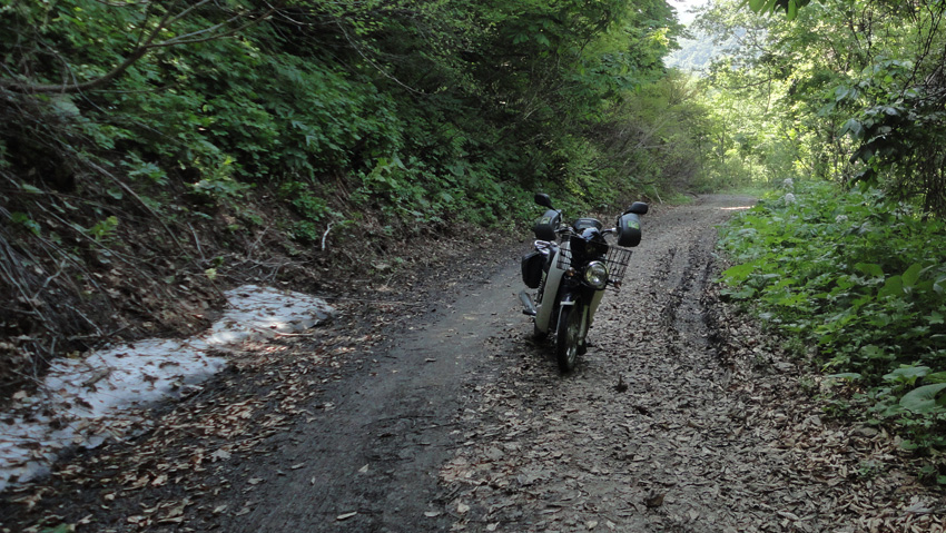 休みなく続く登りの途中、山野草撮影のオートバイと唯一の遭遇