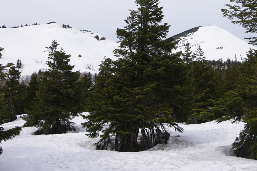 右の「硫黄岳」と「石倉岳」は6月まで滑走可能