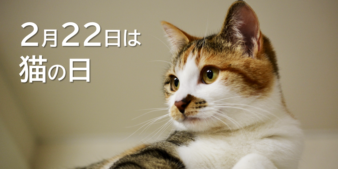 猫の日