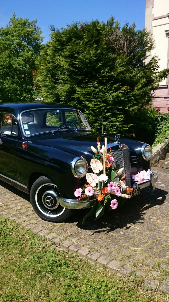 schön geschmückt