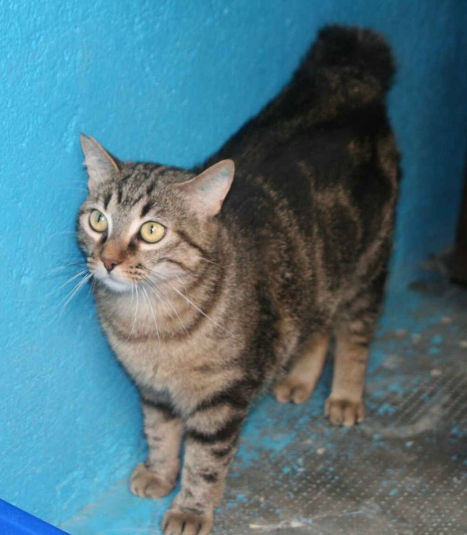 Asia