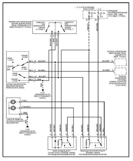 Bmw 3 E46 Wiring Diagrams