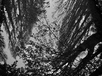 Cécile - reflets dans l'Aure, Bayeux