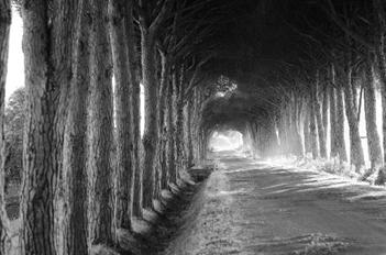 Cathy - route de Toscane