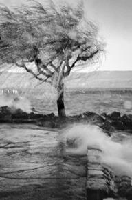 Cathy - Tempête sur le lac de Genève