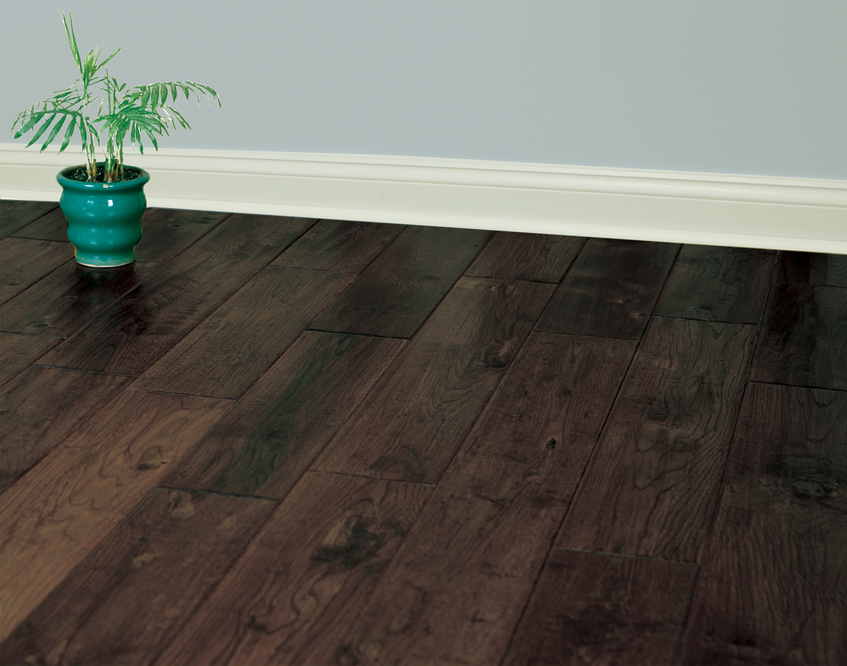 Brown Bear Oak