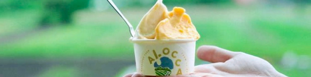 彩町のクラフトジェラート専門店  「ALOCCA 畑と、ジェラートと」