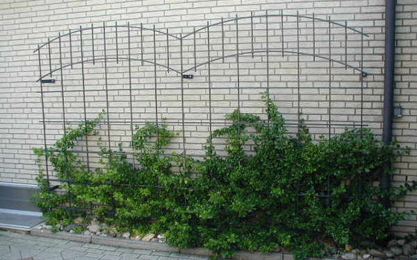 Metall im Garten - jti-metall Webseite!