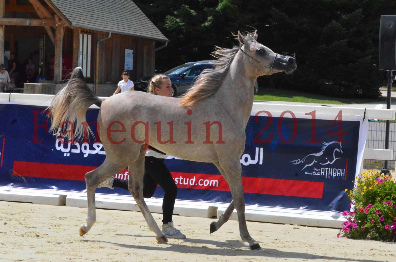 Championnat de FRANCE 2014 - Amateurs - SANA ISHANE - 17