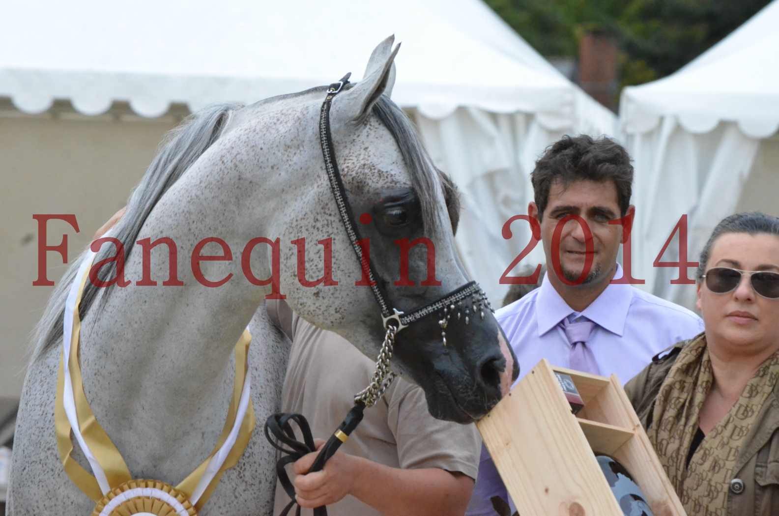 CHAMPIONNAT DE FRANCE  2014 A POMPADOUR - Championnat - SHEYK DE GARGASSAN - 31