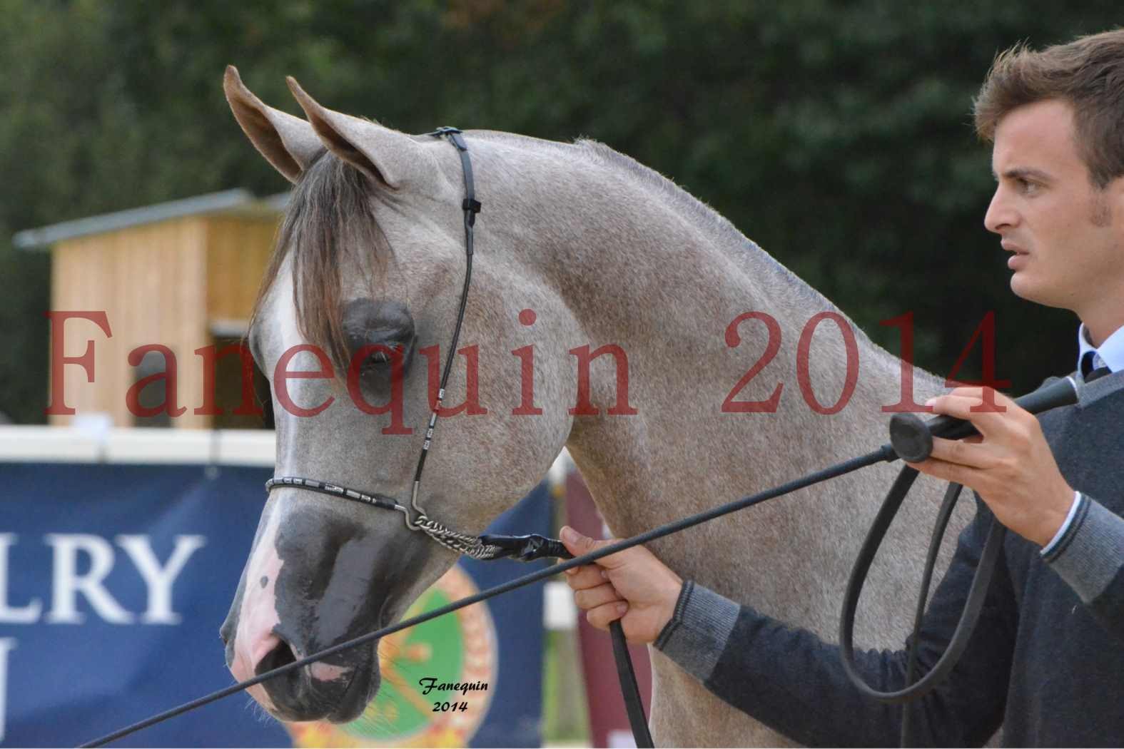 CHAMPIONNAT DE FRANCE 2014 A POMPADOUR - Notre Sélection - Portraits - ANWAR ISHANE - 3