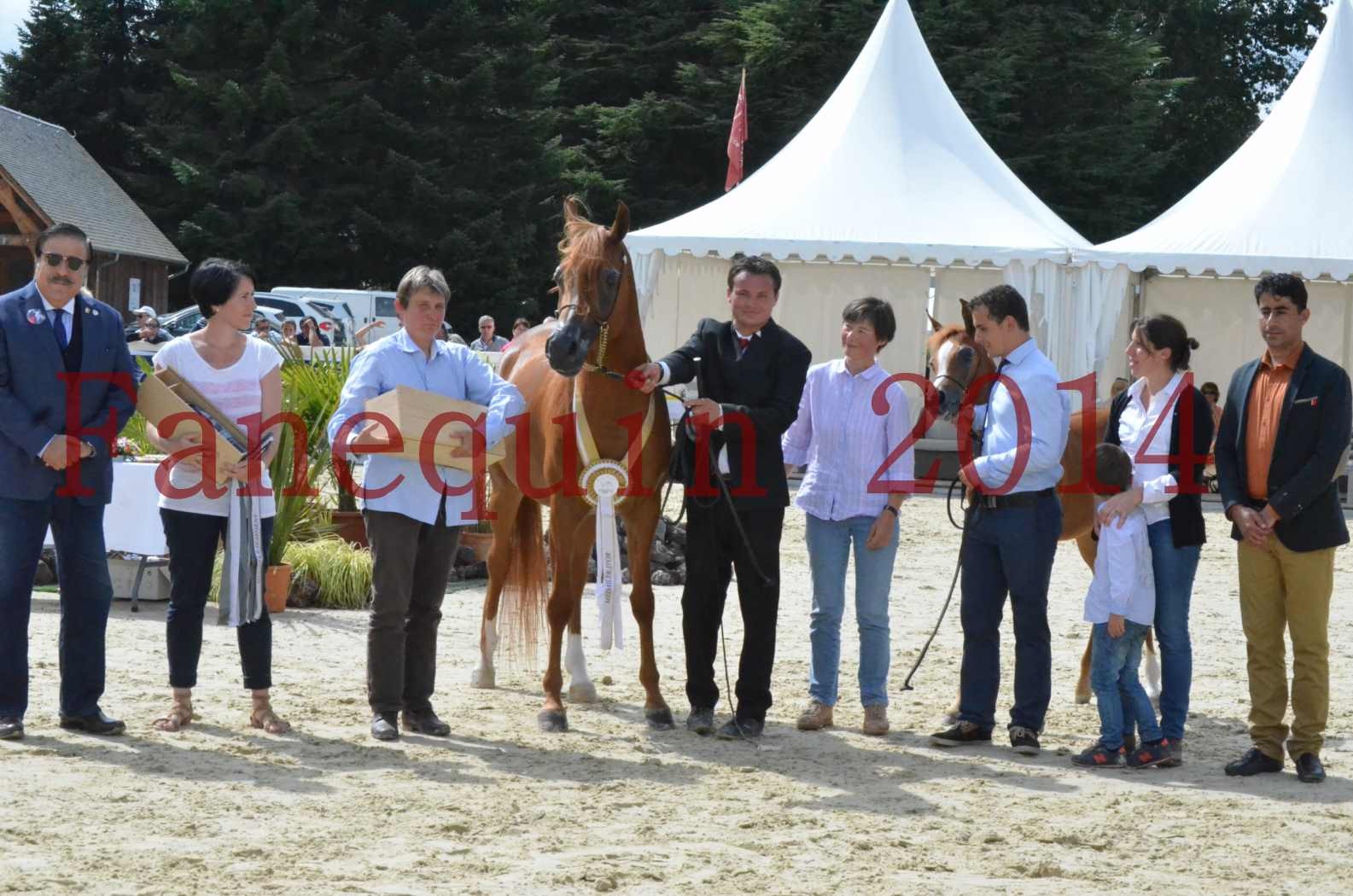 ﻿CHAMPIONNAT DE FRANCE 2014 A POMPADOUR - Championnat - KINSHASA JA - 66