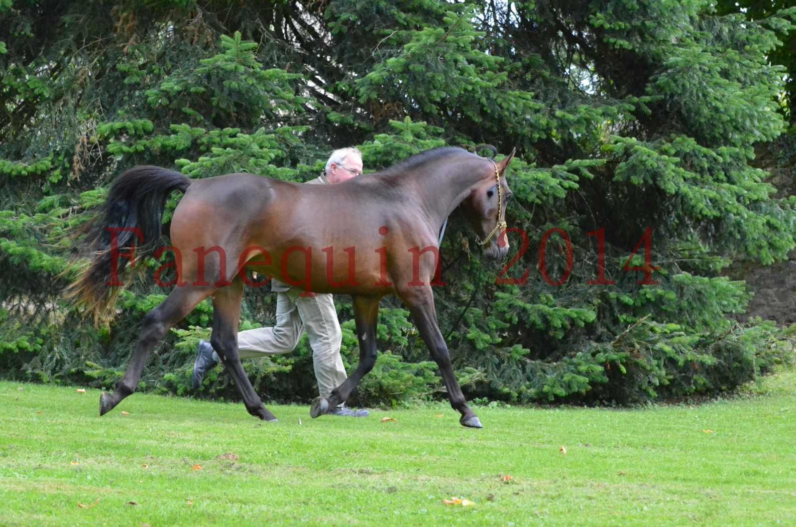 Championnat de FRANCE 2014 - Amateurs - JA KHALEB - 88