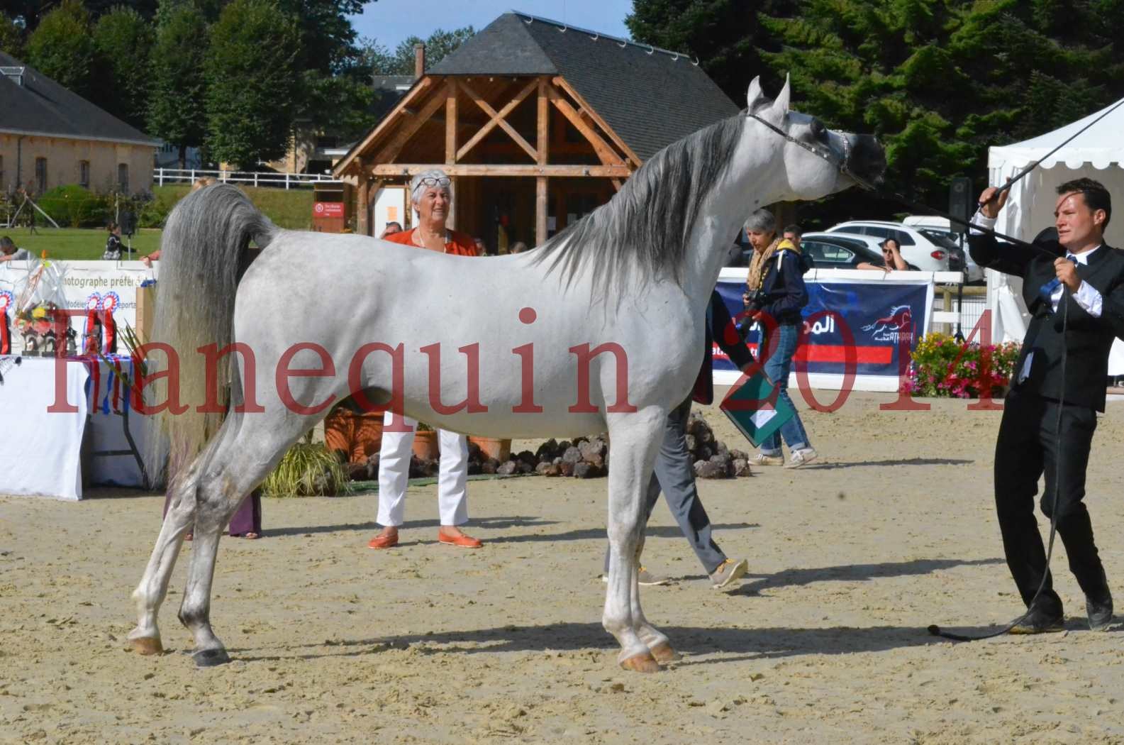 CHAMPIONNAT DE FRANCE  2014 A POMPADOUR - Sélection - SHAOLIN DE NEDJAIA - 57