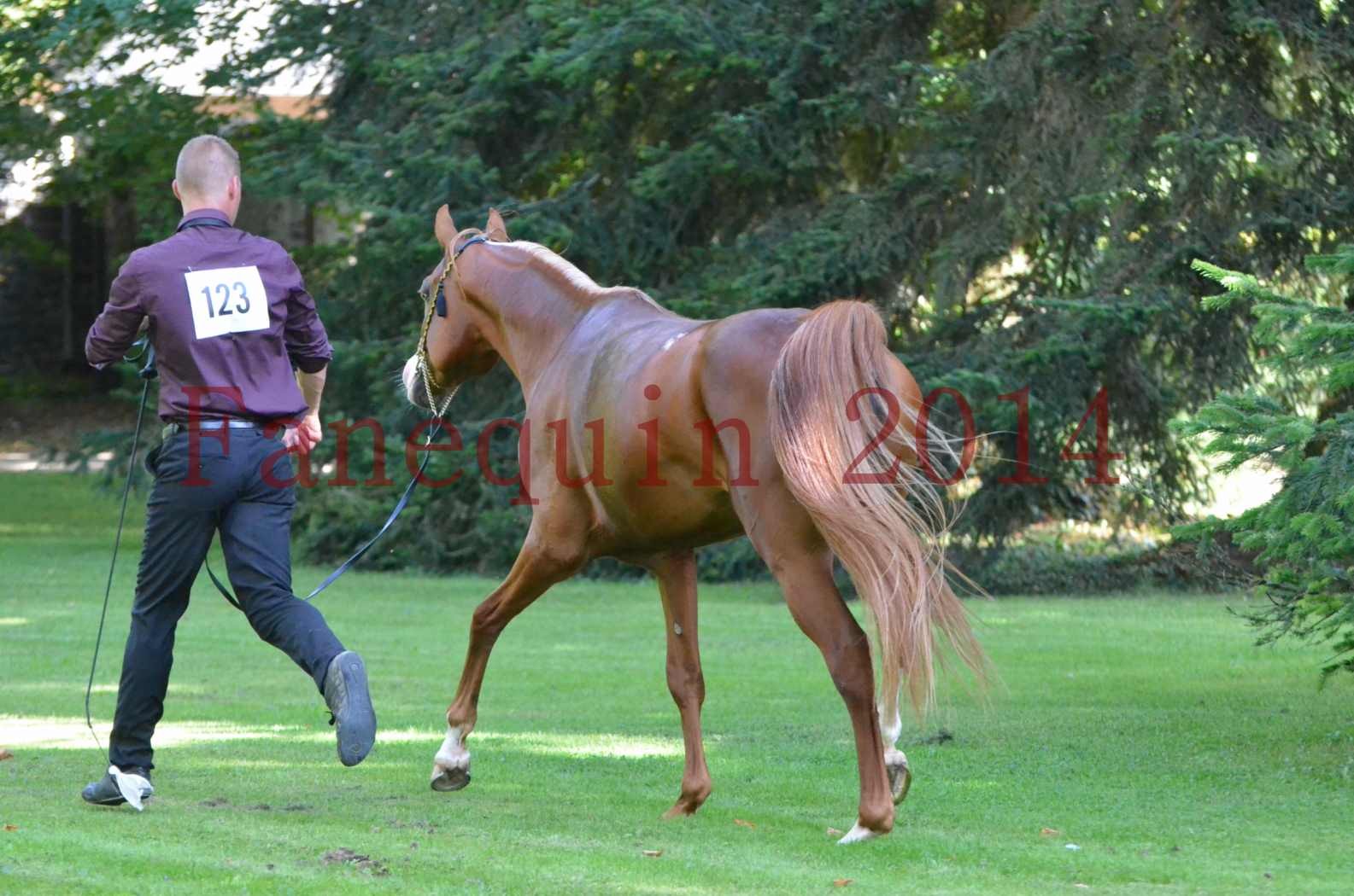 Championnat de FRANCE 2014 - Amateurs - SELECTO IBN SAMAWI - 120