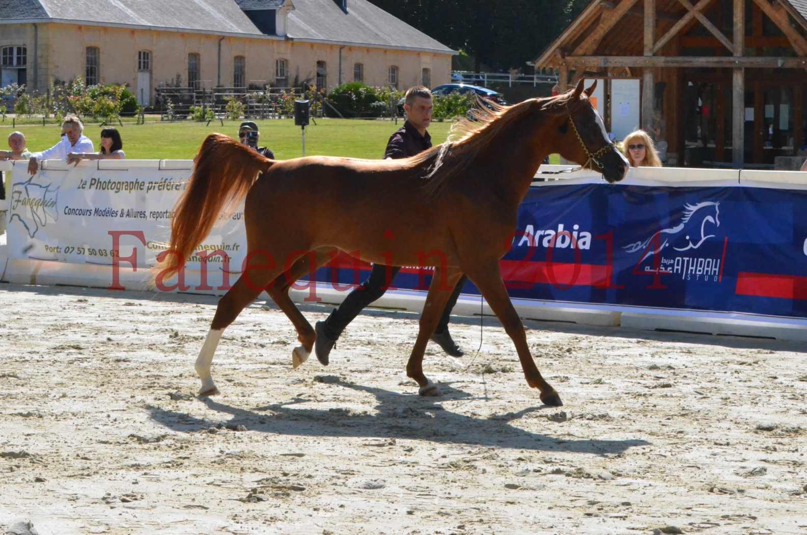 Championnat de FRANCE 2014 - Amateurs - SELECTO IBN SAMAWI - 010