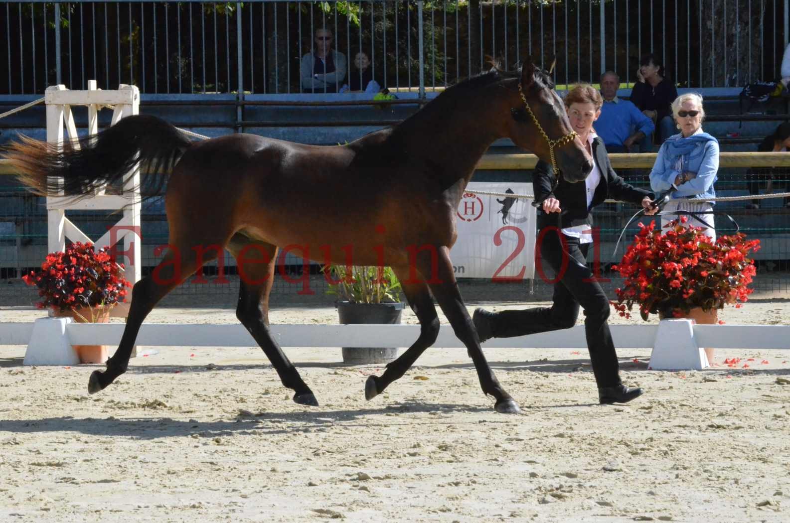 Championnat de FRANCE 2014 - Amateurs - JA KHALEB - 04