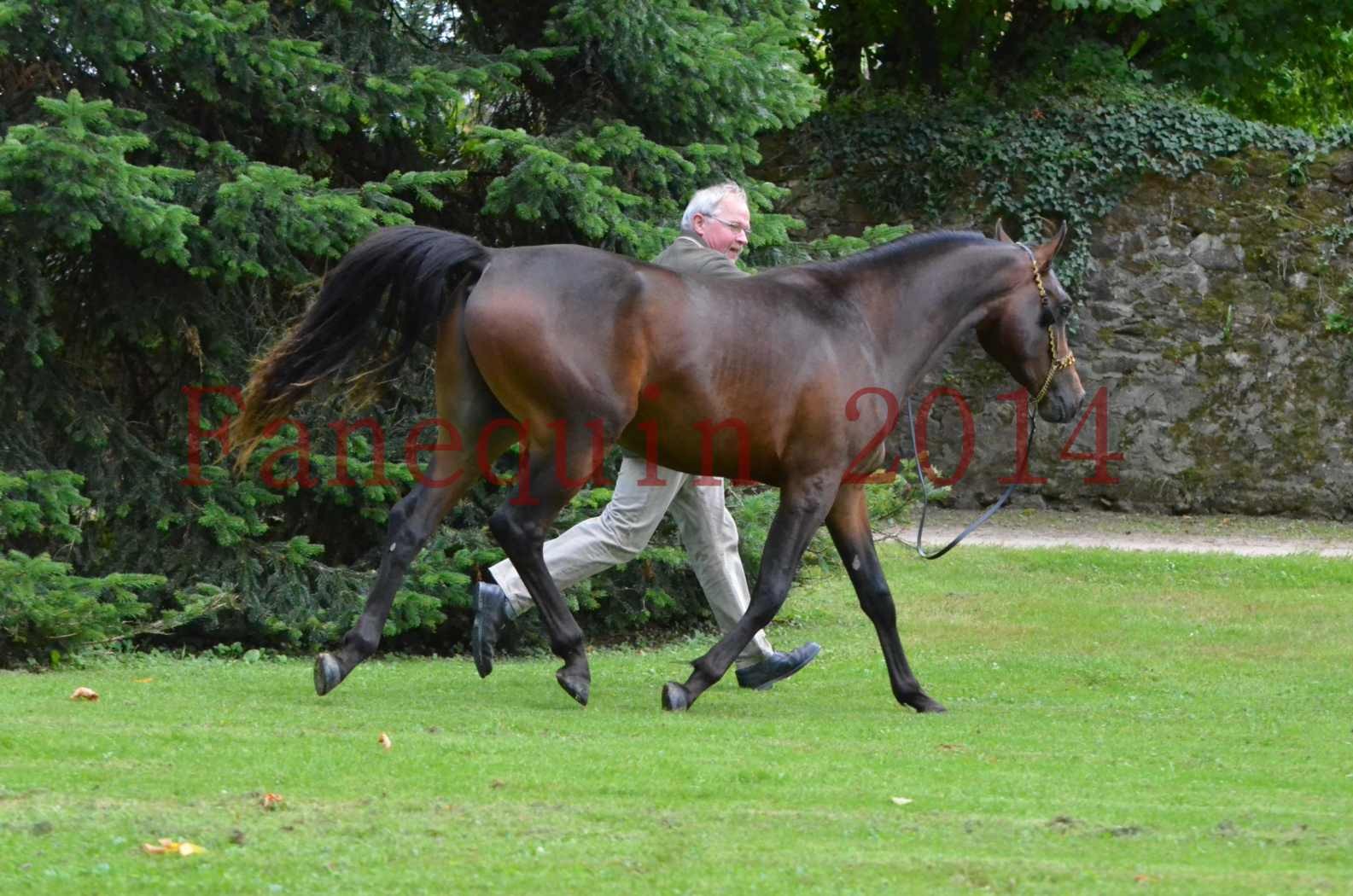 Championnat de FRANCE 2014 - Amateurs - JA KHALEB - 83