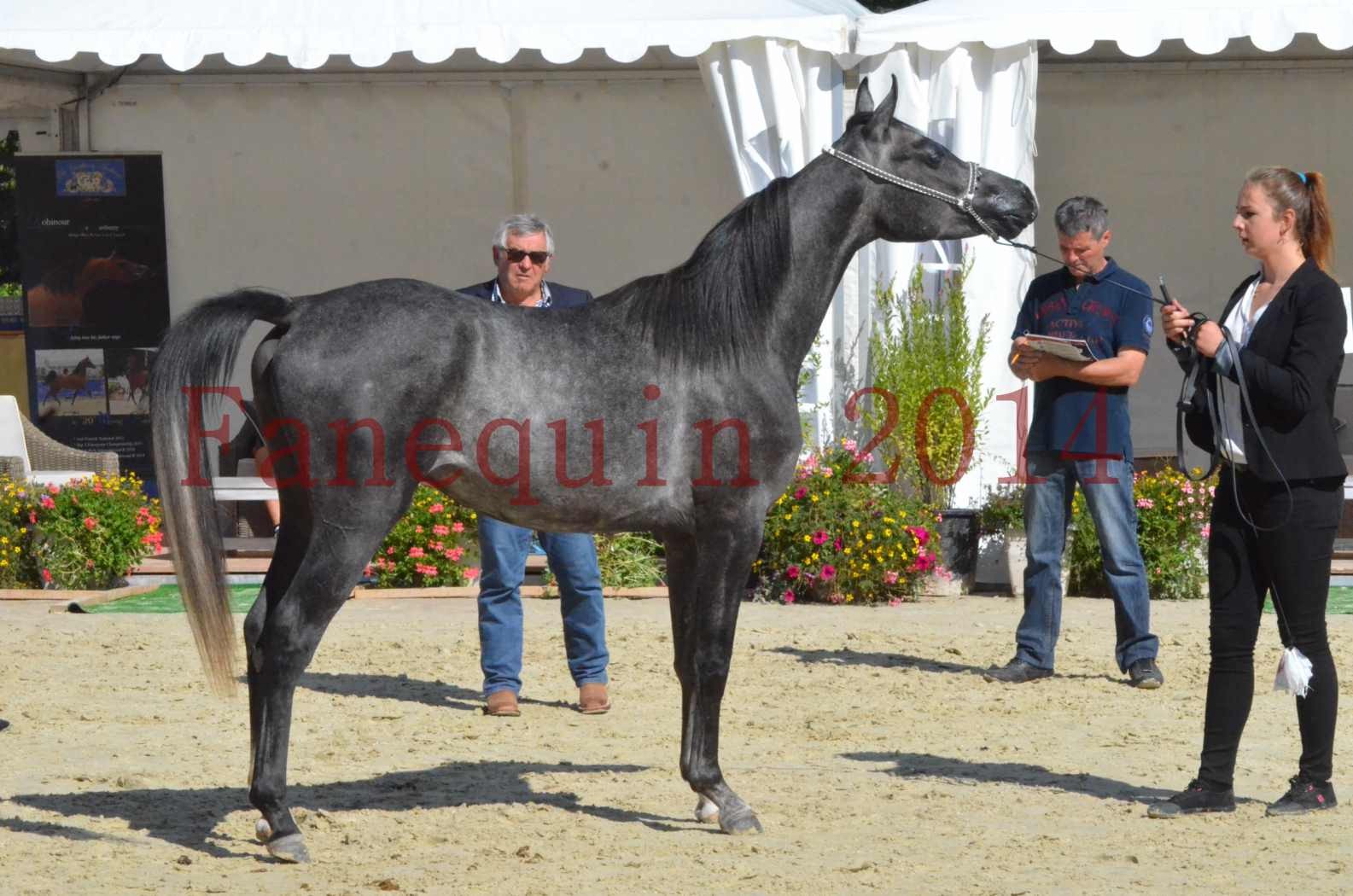 Championnat de FRANCE 2014 - Amateurs - CHTI KAID D'AUBIN - 47