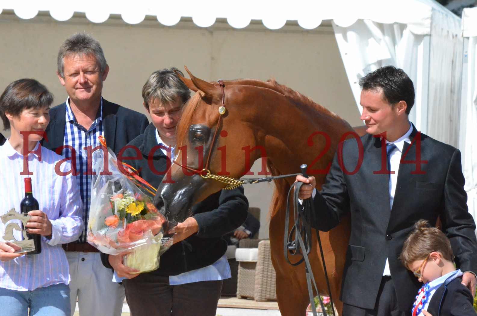 ﻿CHAMPIONNAT DE FRANCE 2014 A POMPADOUR - Sélection - KINSHASA JA - 91