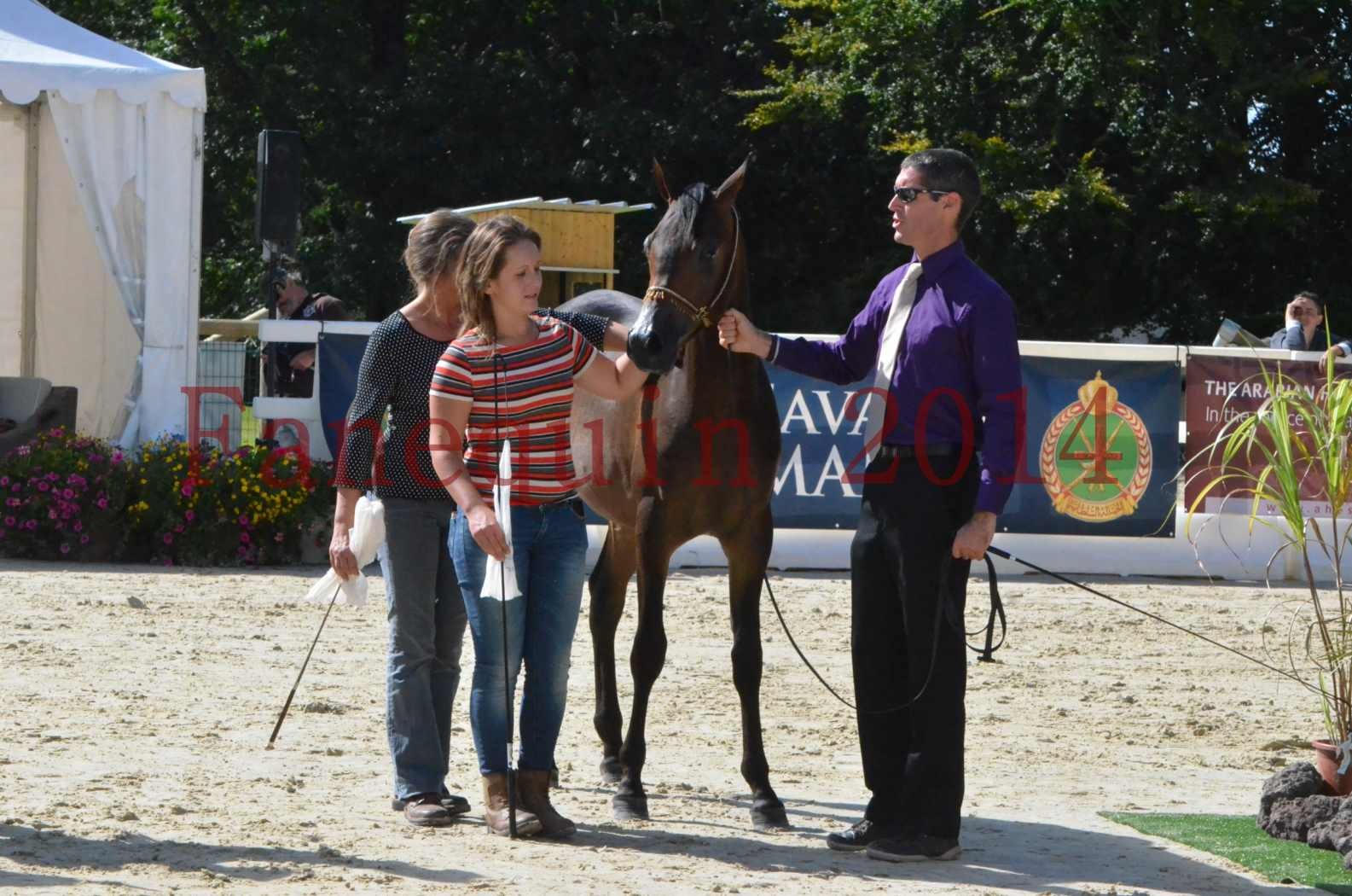 Championnat de FRANCE 2014 - Amateurs - SH FARAJAA - 53