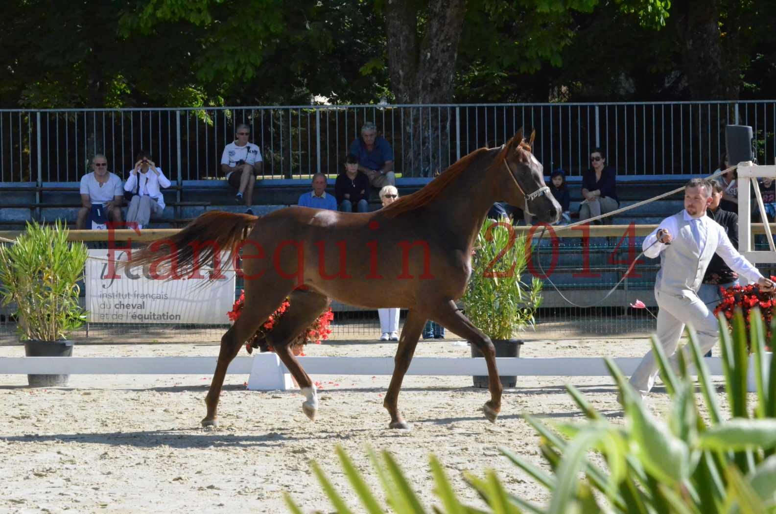 Championnat de FRANCE 2014 - Amateurs - LAMAL - 30