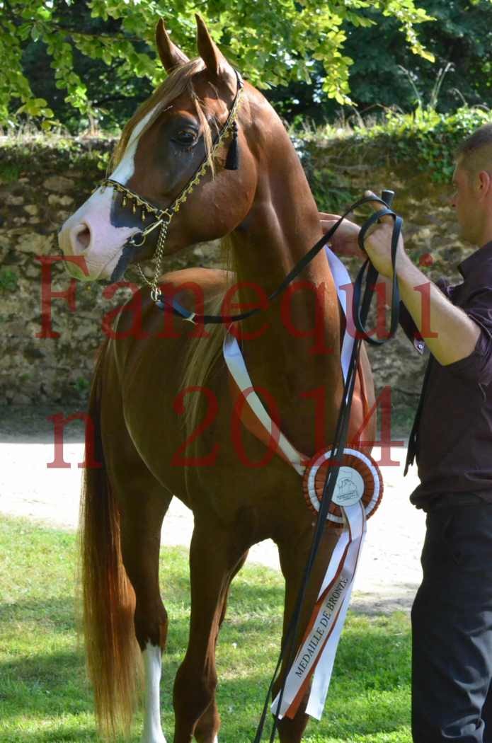 Championnat de FRANCE 2014 - Amateurs - SELECTO IBN SAMAWI - 169