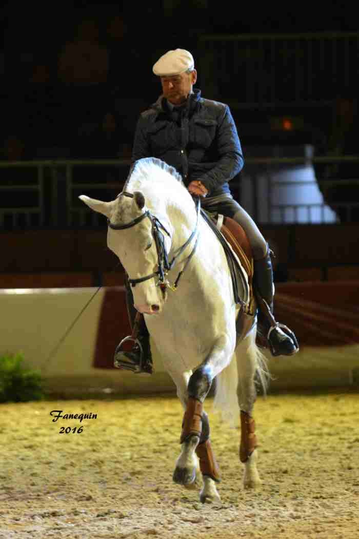 Cheval Passion 2016 - Présentation des LUSITANIENS - Ecurie de Max VENDRELL & Corinne BOUCHITTE - 26